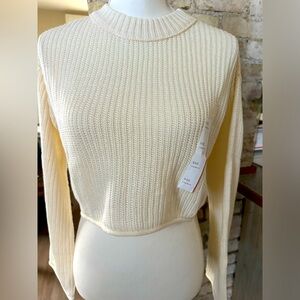 Wild Fable knit crop sweater